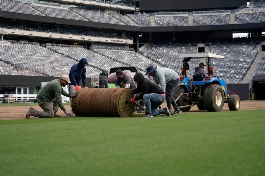 El césped del MetLife, protagonista inesperado antes de la final Argentina vs España