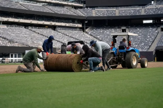 El césped del MetLife, antes de la final