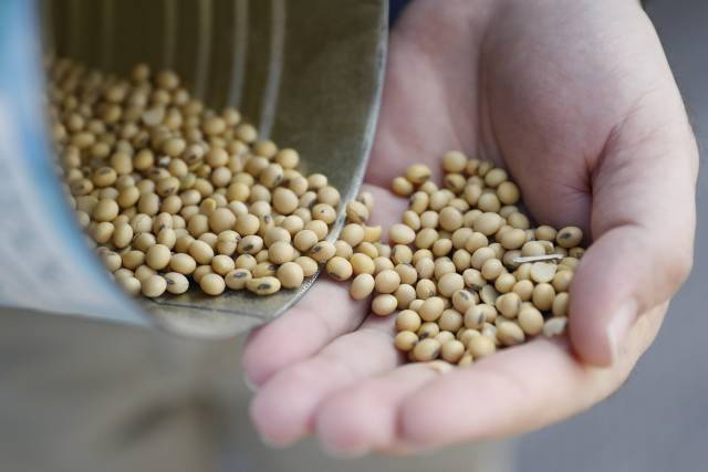 EEUU: Nuevos aranceles a bienes chinos pegarán a consumidor