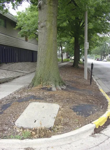La tela de paisaje: una solución aparente que arruina tu jardín