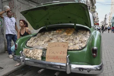 Ratas, minas terrestres y dignidad: cuando la realidad supera la ficción en Camboya y Cuba
