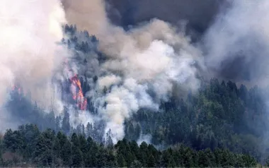 Incendios, errores y decisiones difíciles: la delgada línea entre prevenir y provocar desastres