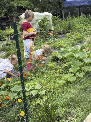 Cómo cultivar el amor por la jardinería en los niños: una semilla para toda la vida