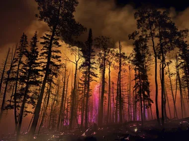 El monstruo de fuego del Gran Cañón: ¿cómo la nueva era climática está reescribiendo las reglas de los incendios forestales?
