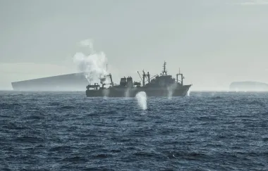 La crisis del kril en la Antártida: cómo la sobrepesca amenaza a los ecosistemas y al clima global