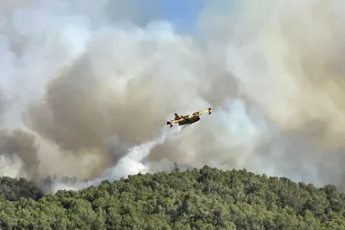 Francia e India bajo fuego y agua: catástrofes naturales que exponen la gravedad del cambio climático