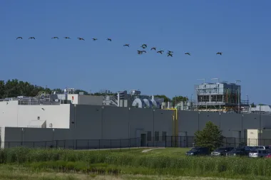 Boar’s Head y el escándalo de la listeria: ¿Qué está fallando realmente en la seguridad alimentaria de Estados Unidos?