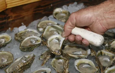 El retorno de las ostras a Apalachicola Bay: ¿Renacimiento o espejismo costero?