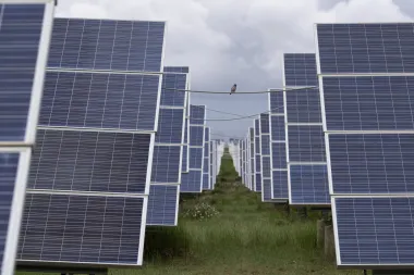 La apuesta solar de China: ¿una revolución energética o una carrera contra el tiempo?