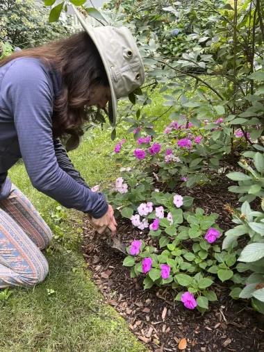 La Jardinería: Un Antidepresivo Natural que Mejora Cuerpo, Mente y Espíritu