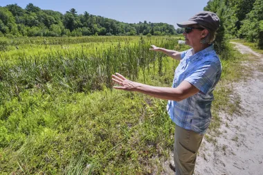 La revolución verde de los pantanos: cómo los agricultores de arándanos en Massachusetts están restaurando los humedales