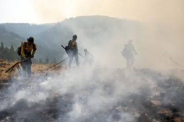 Contaminación silenciada: la peligrosa historia detrás de la planta maderera de Stella-Jones en Oregon