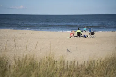 Playas contaminadas en Estados Unidos: El lado oscuro del verano
