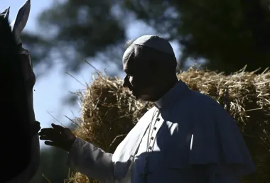 Borgo Laudato Si’: Un paraíso verde en el corazón del Vaticano