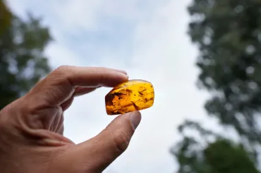 El oro del mar: Cómo la búsqueda de ámbar en el Báltico se ha convertido en una experiencia terapéutica