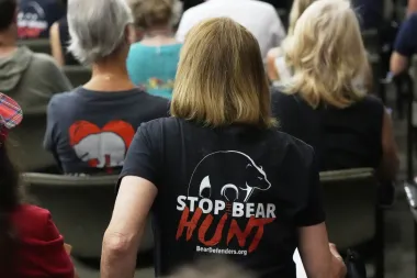 Osos, balas y biodiversidad: la polémica caza del oso negro en Florida pone a prueba la ciencia y la ética