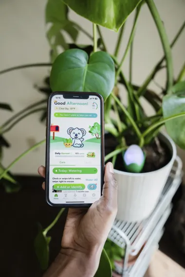 La revolución silenciosa de la jardinería inteligente: Tecnología y naturaleza trabajando juntas