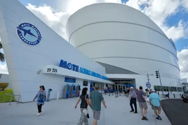 Mote Science Education Aquarium: Un nuevo hogar para cientos de especies marinas