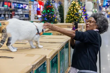 Francine, la gata de Lowe’s que conquistó corazones y redes sociales en su épica aventura