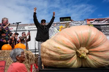 La épica batalla de las calabazas gigantes: pasión, ciencia y un récord colosal