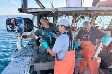 Crisis a flote: El colapso del pescado blanco en los Grandes Lagos que amenaza generaciones