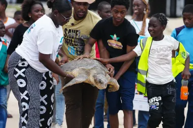 Tortugas contra la extinción: el renacer silencioso en las playas de Nigeria