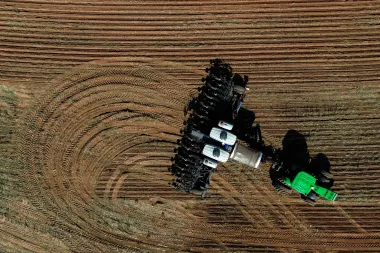 Brasil le gana el round a EE.UU. en la guerra comercial de la soya