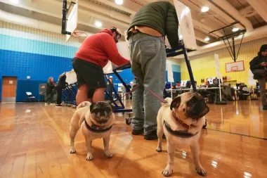 ¿Está en peligro la democracia en Estados Unidos? Una mirada crítica al estado actual del voto