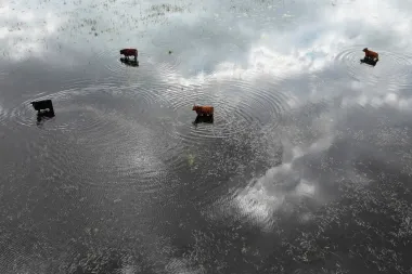 Cuando el clima castiga a los pobres: el cambio climático y la injusticia ambiental en el sur global