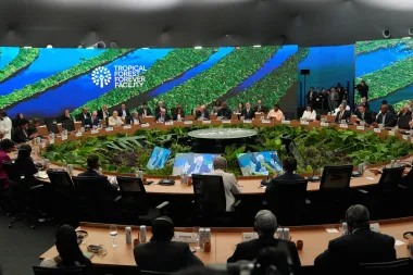 Bosques o beneficios: el ambicioso plan de Brasil para salvar la Amazonía (y al planeta)