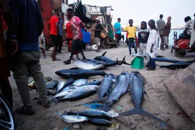 El regreso de los piratas en Somalia y sus consecuencias globales