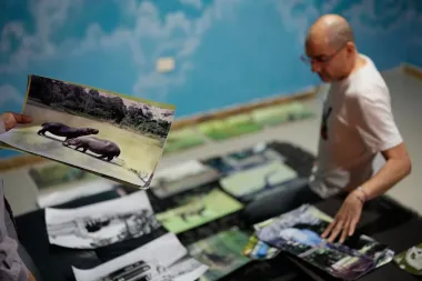 Los hipopótamos de la coca: arte, política y delirio en la herencia animal de Pablo Escobar