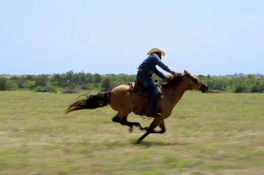 Los verdaderos vaqueros: la historia borrada del cowboy negro