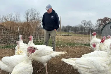El alto precio del pavo en Estados Unidos: entre virus aviares, inflación y estrategias de supermercado