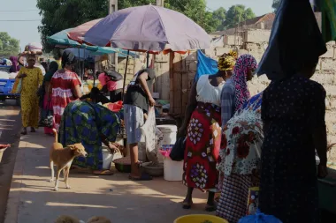 Guinea-Bisáu y Camerún: ¿Democracias en caída libre?