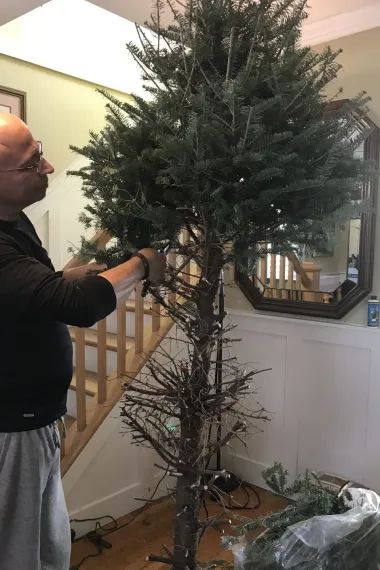 ¿Qué hacer con tu árbol de Navidad después de las fiestas? Opciones ecológicas y creativas
