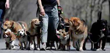 ¿Tiempo o dinero? Cómo ahorrar minutos puede salvar relaciones