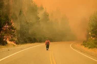 Fuego en la Patagonia: el infierno que devora bosques y expone la fragilidad del sur argentino