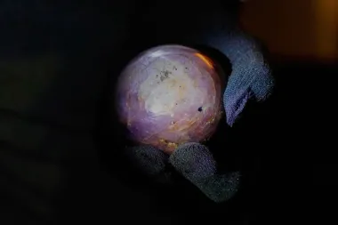 La piedra que vale más que una isla: la historia del zafiro estrella púrpura más grande del mundo