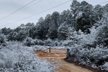 Nieve en el estado del sol: ¿estamos ante un nuevo clima en el sur de Estados Unidos?