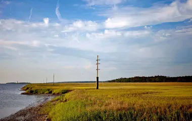 Los Gullah-Geechee de Sapelo Island: El último bastión afroamericano en riesgo por la codicia inmobiliaria