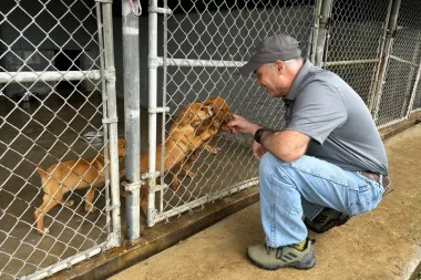 Operación Rescate: la desgarradora realidad del abandono animal en EE. UU.