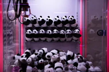 Adiós a los pandas: Japón pierde a sus íconos peludos y la diplomacia sufre un golpe