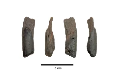 Los secretos del pasado y del universo: herramientas prehistóricas y materia oscura bajo la lupa científica