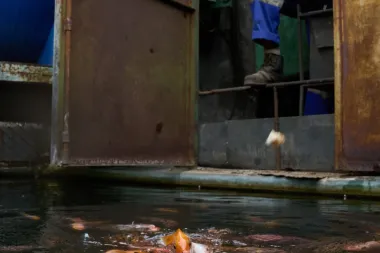 Resistir, Renovar y Resurgir: La Transformación Silenciosa del Pueblo Cubano