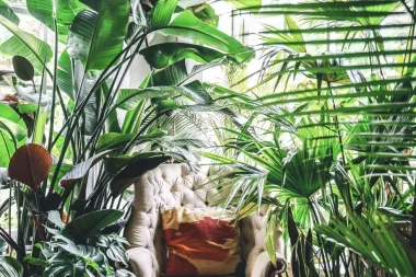 Crea tu propio rincón de naturaleza en casa: bienestar, diseño y conexión emocional en pocos metros