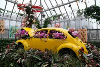 Naturaleza, cultura y salud ambiental: tres paisajes de California que revelan el alma del estado