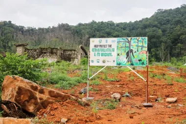 Mansiones ilegales en el Parque Nacional que protege Freetown: una bomba ambiental y política
