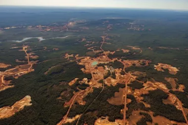 Alcoa y el Jarrah del Norte: controversia, multas y el dilema de la minería en bosques en peligro