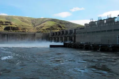 Ríos en pugna: la batalla judicial por los salmones del Columbia y Snake
